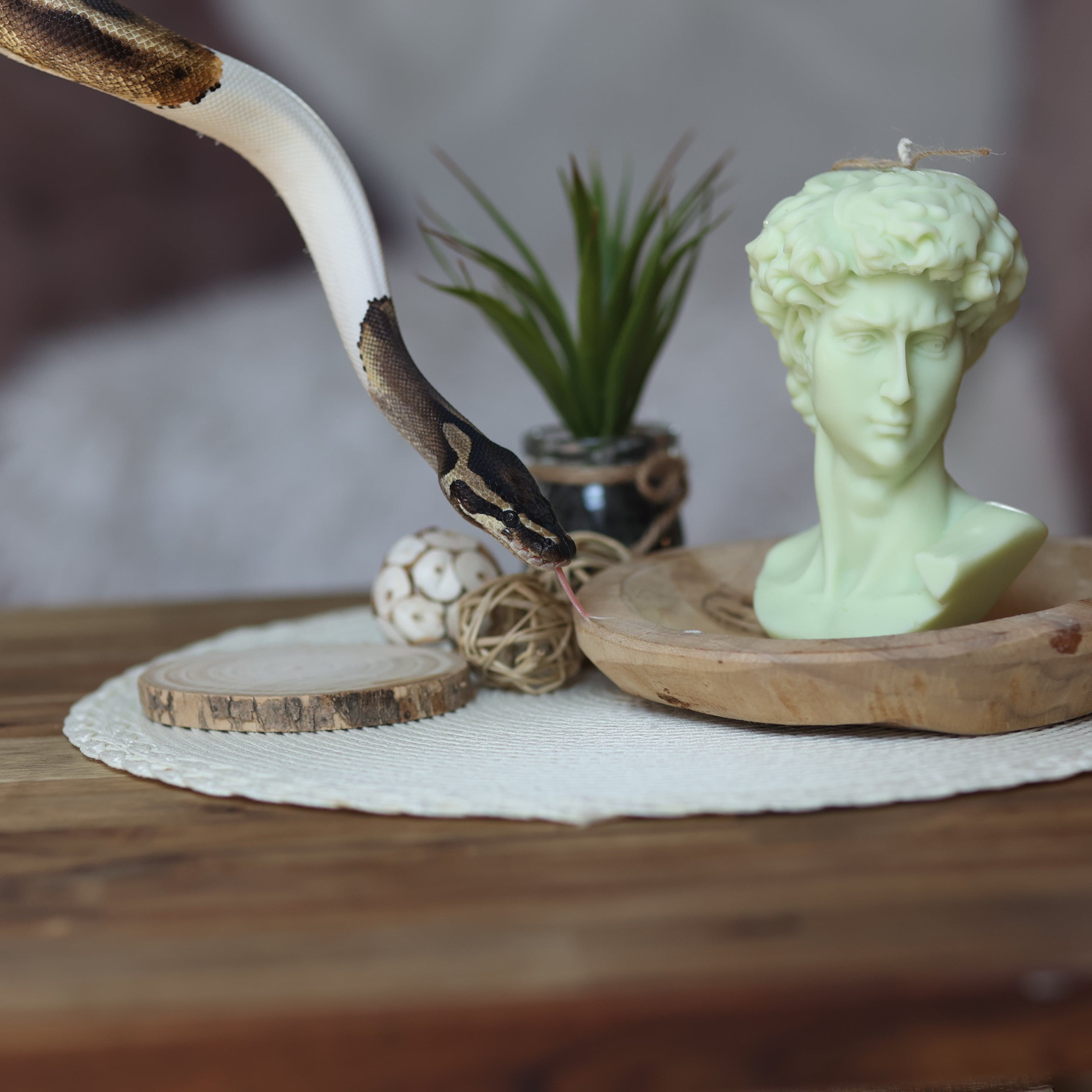 Apollo-Kerzen