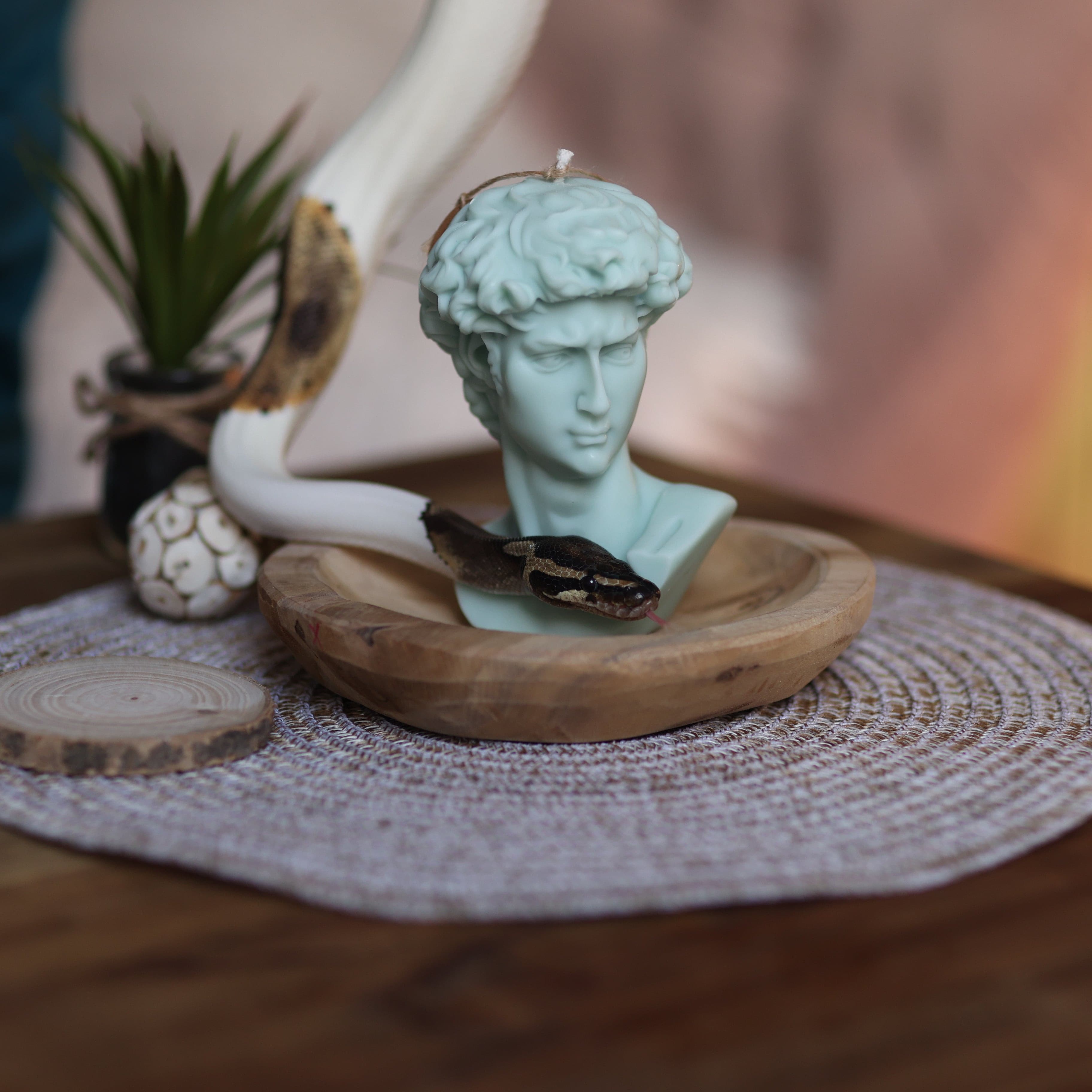 APOLLO-KERZEN / Sojawachs Kerzen  / 100% natürliches Wachs /  Handgefertigte Kerzen  / Umweltfreundliche Kerzen  / Bio-Baumwoll Docht / Duftkerzen /  Warme Atmosphäre / Gemütliches Licht / Exquisite Kreationen / Nachhaltiges Brennerlebnis / Charme / Wohnkultur