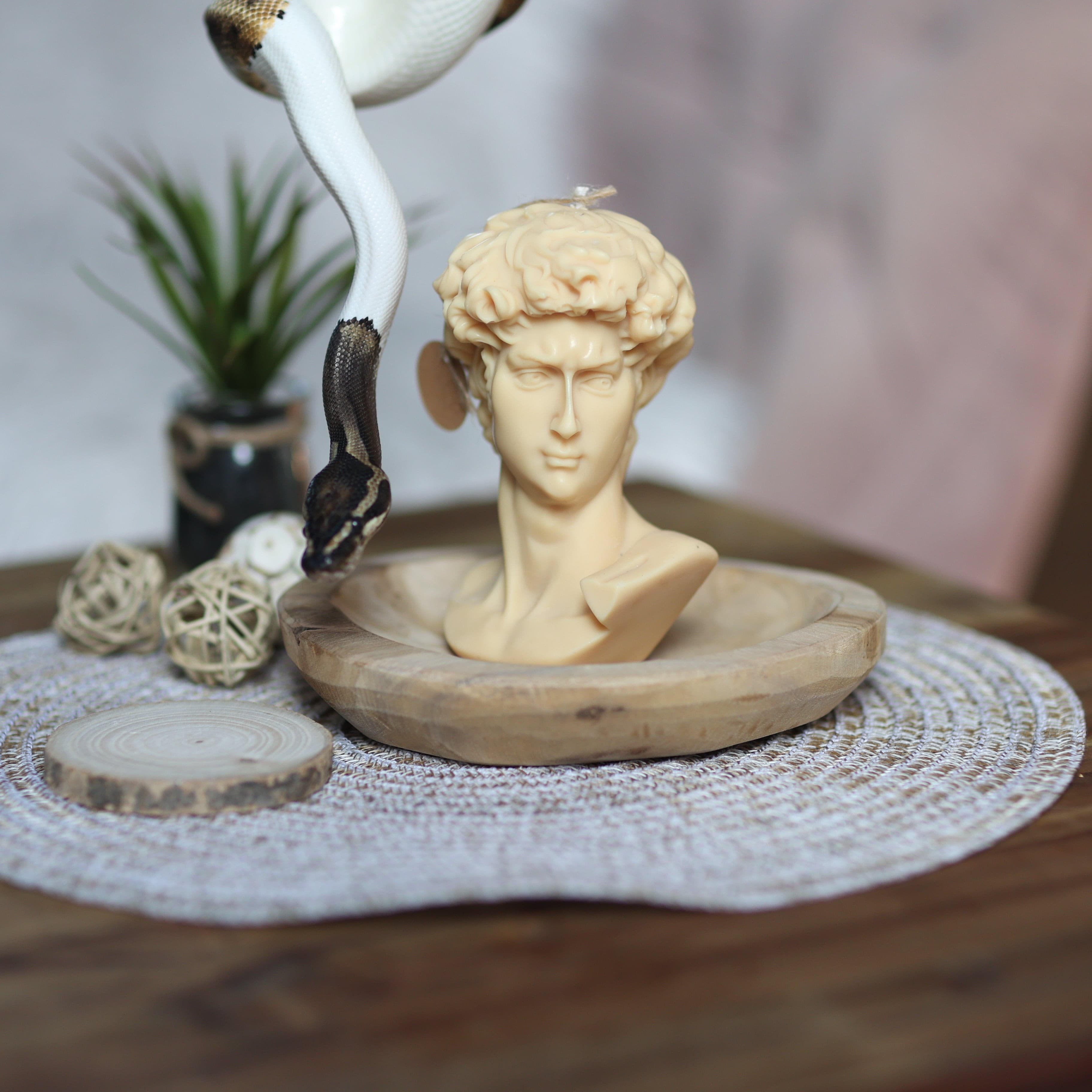 APOLLO-KERZEN / Sojawachs Kerzen  / 100% natürliches Wachs /  Handgefertigte Kerzen  / Umweltfreundliche Kerzen  / Bio-Baumwoll Docht / Duftkerzen /  Warme Atmosphäre / Gemütliches Licht / Exquisite Kreationen / Nachhaltiges Brennerlebnis / Charme / Wohnkultur
