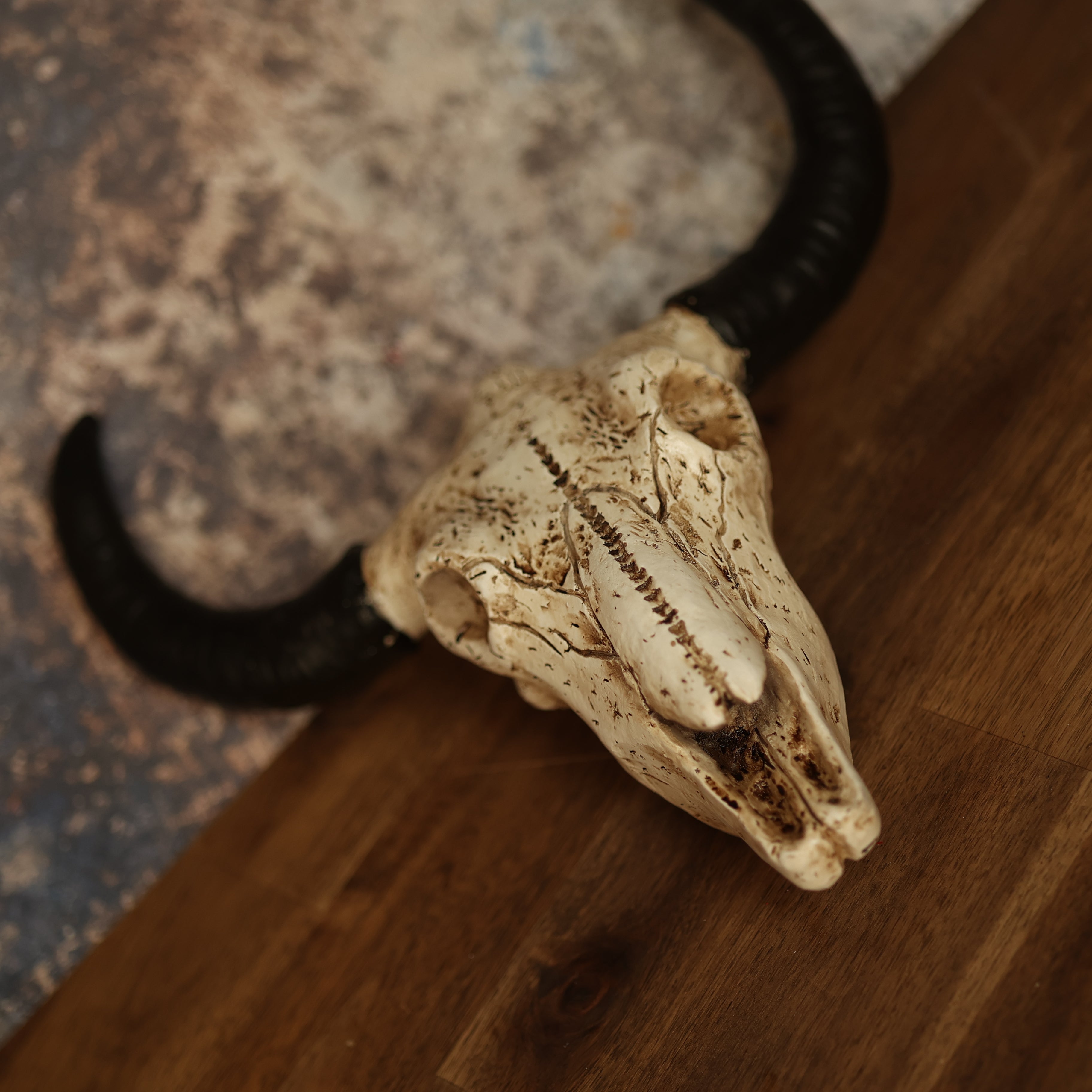 Rustikale Bull Goat Skull Head, Wandskulptur, Harz, Lebensechte Details, Majestätische Hörner, Dekor, Gesprächsstarter, Wildnis, Handwerkskunst, Eleganz, Naturinspiration, Statement-Stück, Stil, Charakter, Langlebig.
